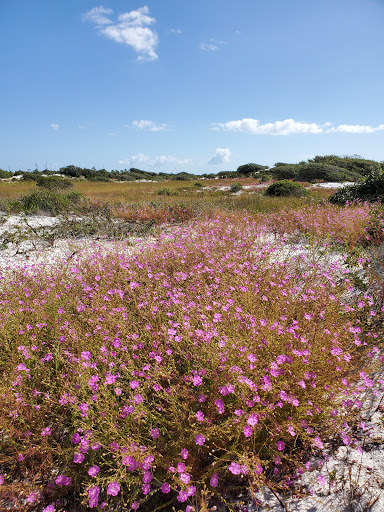 National Park «Fort Pickens», reviews and photos, 1400 Fort Pickens Rd, Pensacola Beach, FL 32561, USA