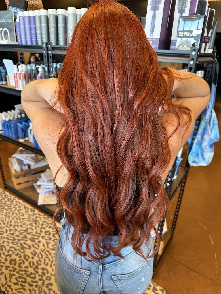 Inviktus Salon - Republic 65738