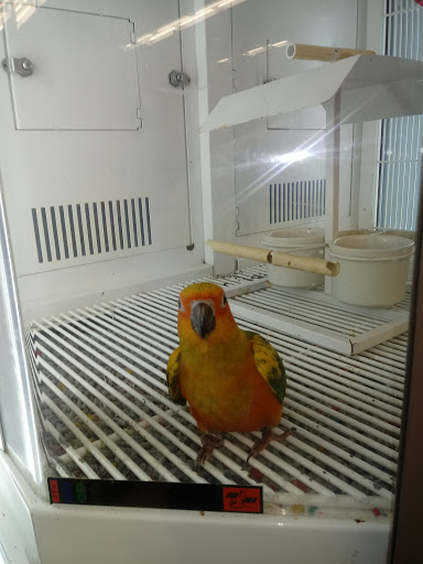 Pet Supply Store «Petco Animal Supplies», reviews and photos, 3401 Pineville-Matthews Rd, Charlotte, NC 28226, USA