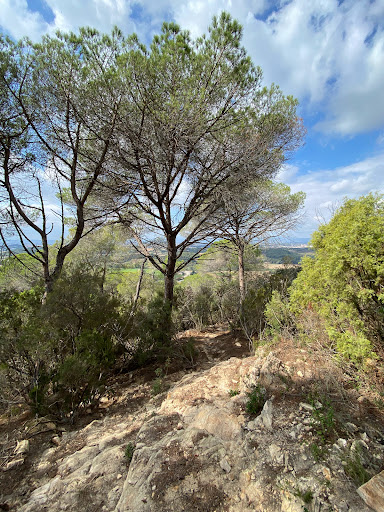 RUTA CRAWLER (Sector Can Gürri) en La Roca del Vallès, Barcelona