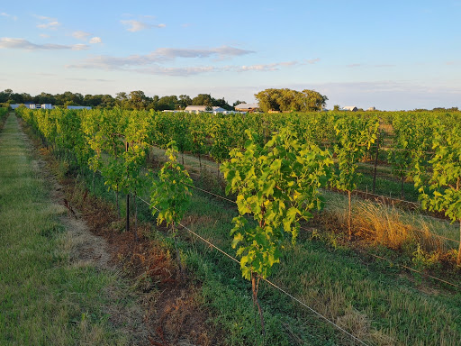 Puddicombe Farms, Winery & Cider