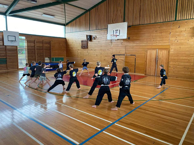 Comments and reviews of Kung Fu Academy NZ - Rangitikei