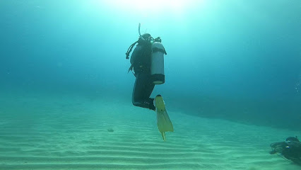Mocha Diving 摩卡潛水