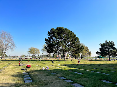 Forest Lawn