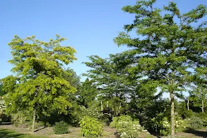 Arboretum de la Petite Loiterie image