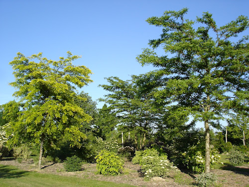Arboretum de La Petite Loiterie à Monthodon