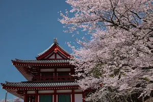 Tateshina Shinyu Onsen image