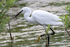 Kempton Nature Reserve image