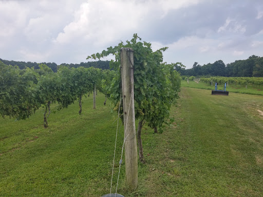 Vineyard «Cascia Vineyards & Winery», reviews and photos, 1200 Thompson Creek Rd, Stevensville, MD 21666, USA