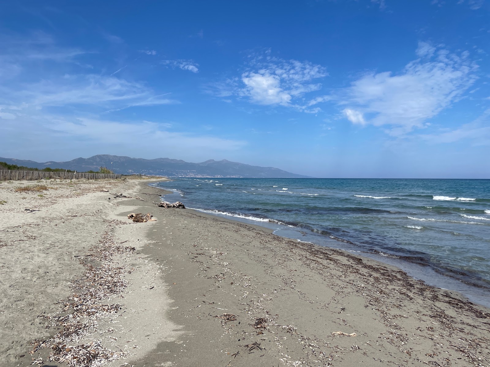 Plage de Pineto'in fotoğrafı parlak kum yüzey ile