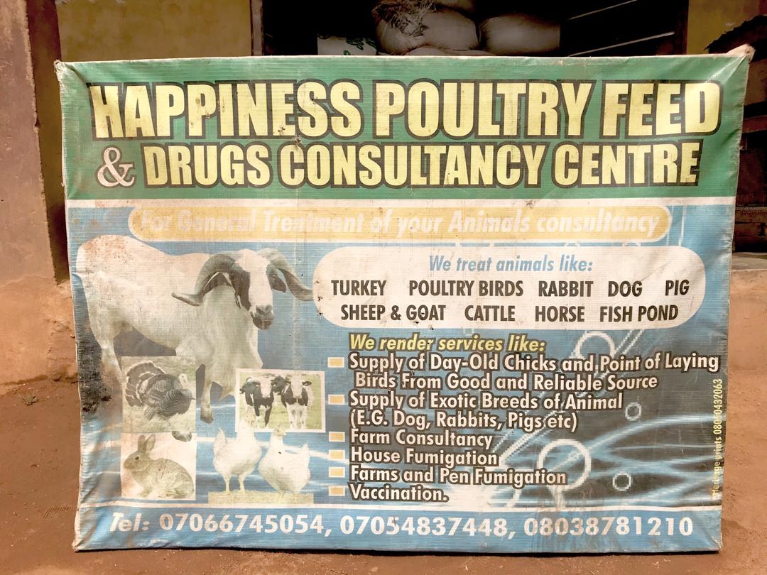Happiness vetinary consultant