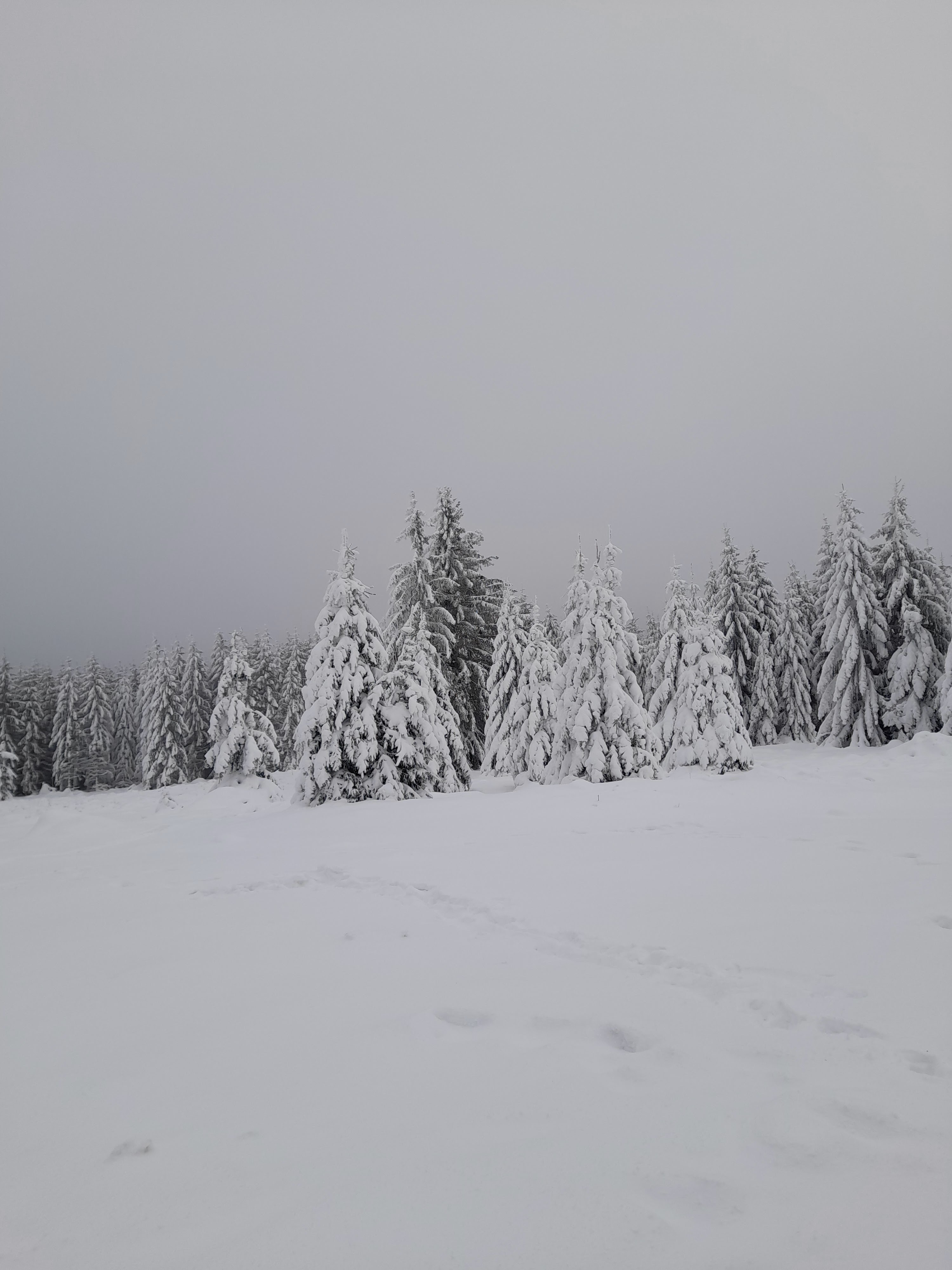 Photo n° 1 de l'avis de Mentaalo. fait le 10/01/2021 à 22:27