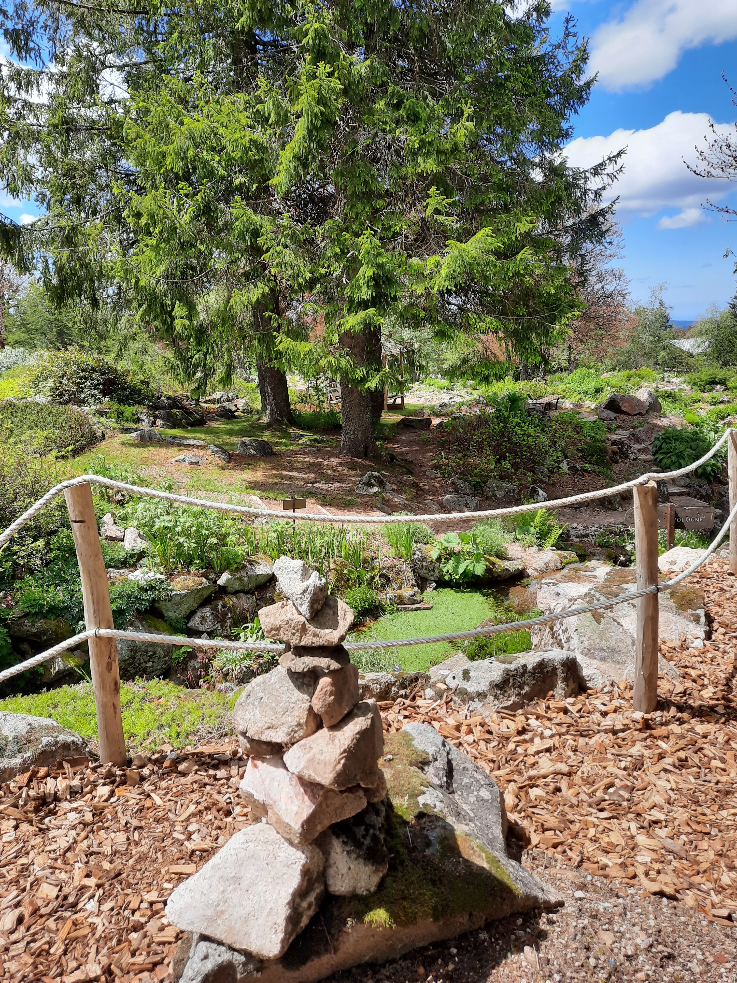 Photo n° 27 de l'avis de Victoria.e fait le 22/06/2020 à 21:37