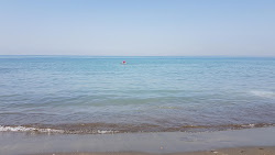 Micana Rhosus beach'in fotoğrafı ve yerleşim