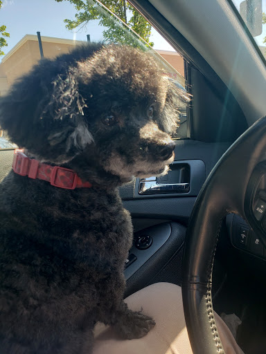 Pet Supply Store «PetSmart», reviews and photos, 4794 Jimmy Lee Smith Pkwy #108, Hiram, GA 30141, USA