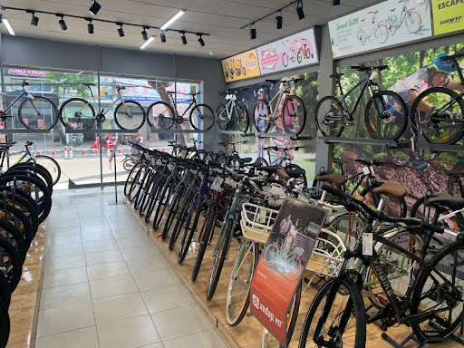 Hệ thống cửa hàng xe đạp xe điện Xedap.vn - Chi nhánh 220 Lê Văn Quới, Bình Tân