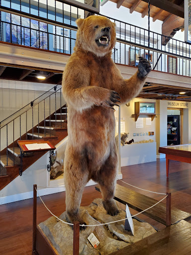 Museum «Pacific Grove Museum of Natural History», reviews and photos