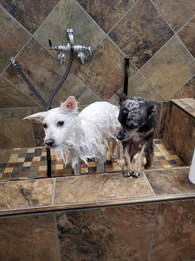 Pet Supply Store «Pet Valu», reviews and photos, 150 Main St, Lodi, NJ 07644, USA