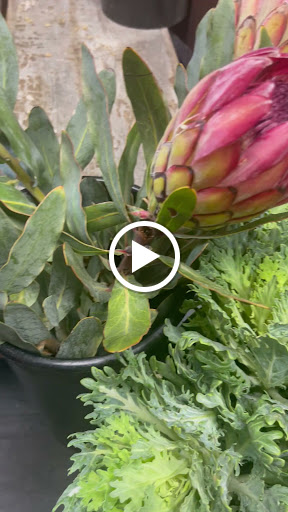 Florist «Foothills Floral Gallery», reviews and photos, 4647 E Chandler Blvd # 10, Phoenix, AZ 85048, USA