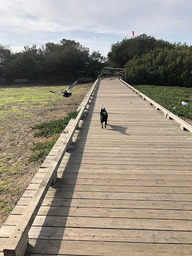 Park «Fort Funston», reviews and photos, Fort Funston Rd, San Francisco, CA 94132, USA