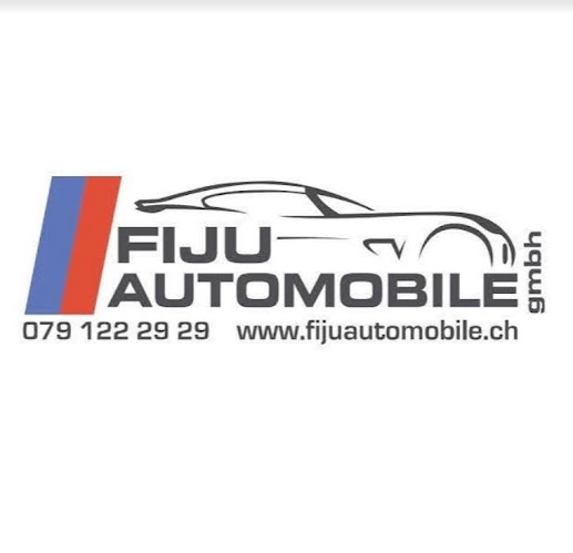 Kommentare und Rezensionen über FIJU Automobile GmbH