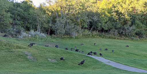 Golf Course «Bountiful Ridge Golf Course», reviews and photos, 2430 Bountiful Blvd, Bountiful, UT 84010, USA