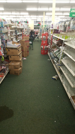 Dollar Store «Dollar Tree», reviews and photos, 2700 E Eldorado Pkwy #200, Little Elm, TX 75068, USA