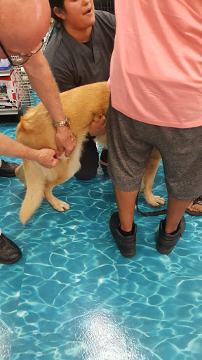 Pet Supply Store «Petco Animal Supplies», reviews and photos, 9137 Central Ave a, Montclair, CA 91763, USA