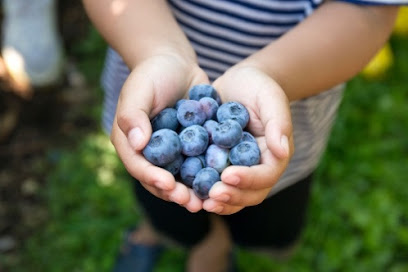 Sullivan Road Farms