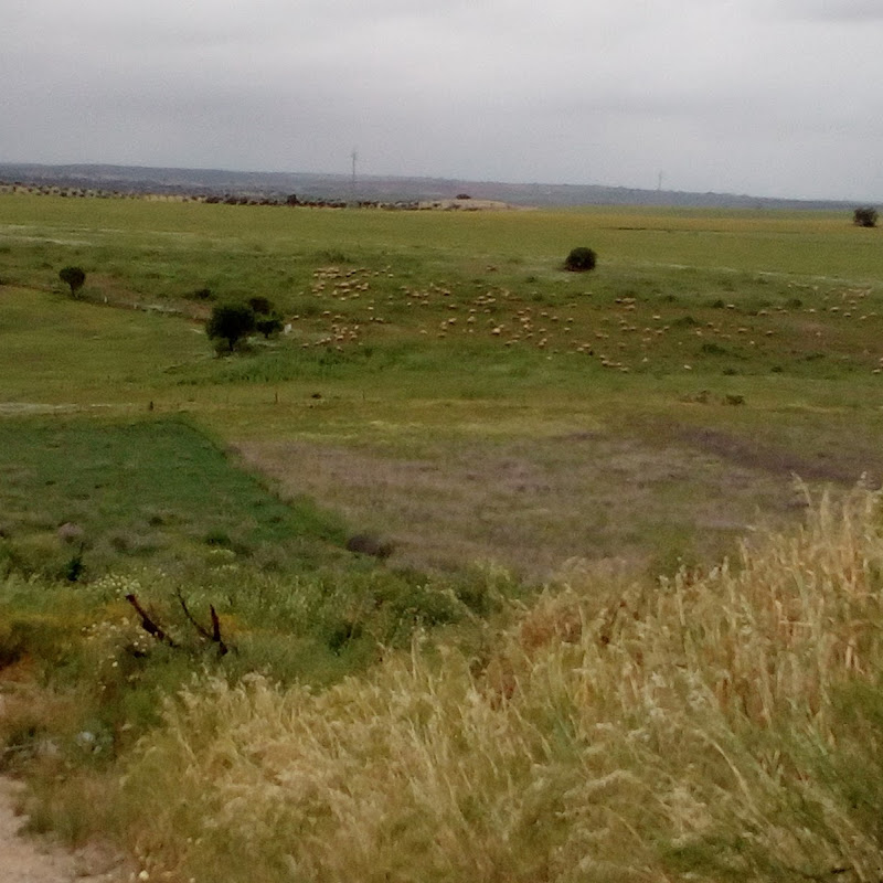 Sociedade Unipessoal Lda., Feliciana Janeiro - Bolos Do Alentejo