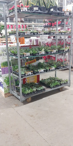 Home Improvement Store «The Home Depot», reviews and photos, 530 Mt Pleasant Ave, Dover, NJ 07801, USA