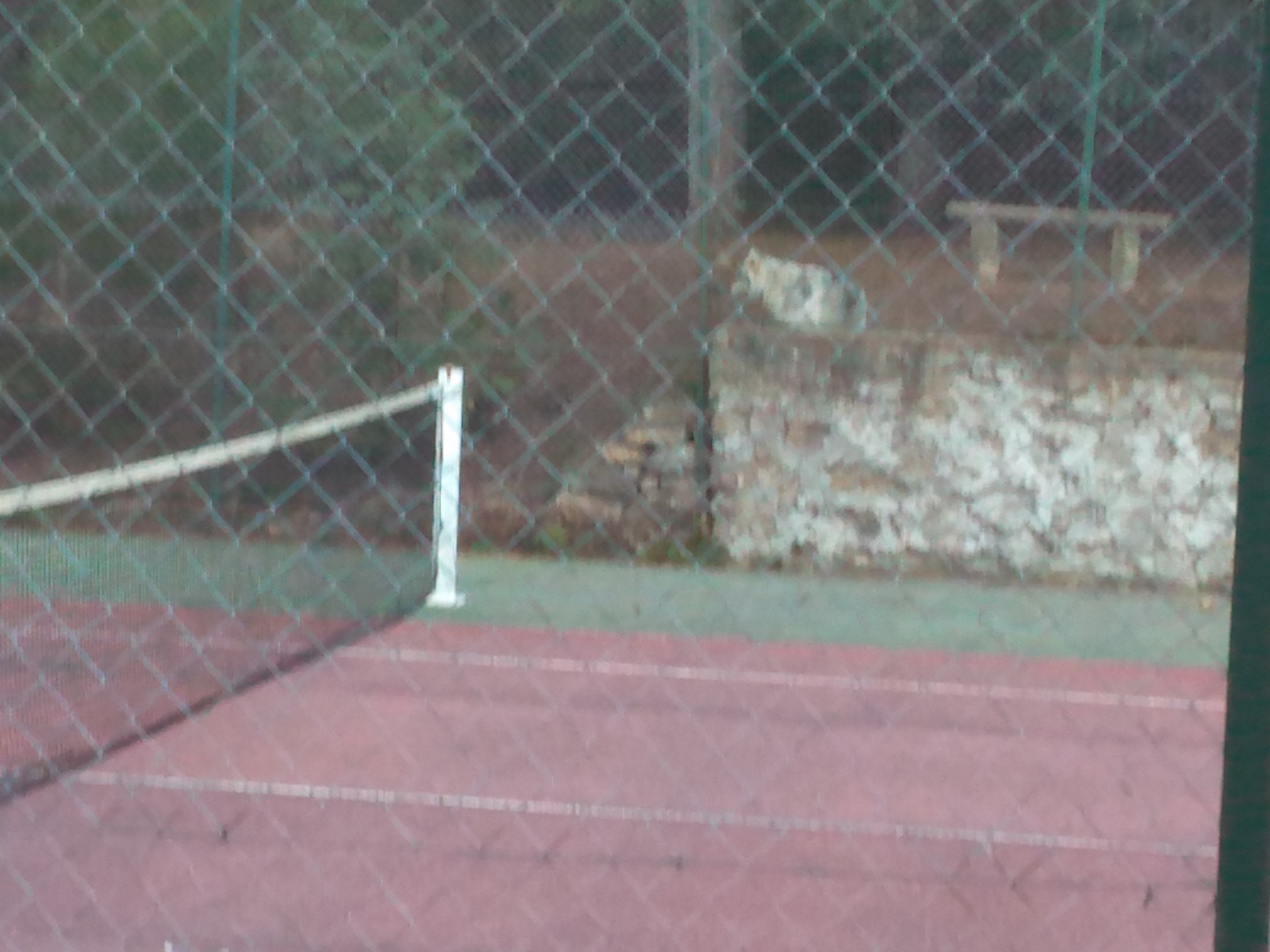 Photo n° 8 de l'avis de christine.a fait le 16/10/2023 à 11:11