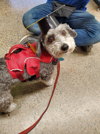 Pet Supply Store «Unleashed by Petco», reviews and photos, 308 Washington St, San Diego, CA 92103, USA