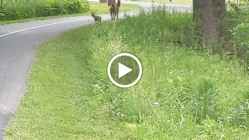 Nature Preserve «Hickory Creek Preserve», reviews and photos, Wolf Rd, Mokena, IL 60448, USA