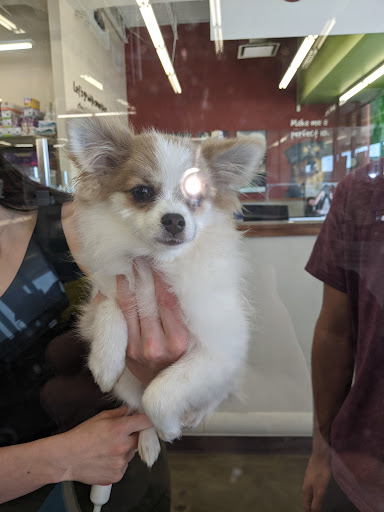 Pet Supply Store «Pet Supplies Plus», reviews and photos, 1155 Washington Pike, Bridgeville, PA 15017, USA