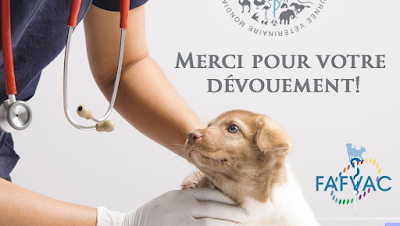 Clinique Vétérinaire PET VET CLINIC à Santeny