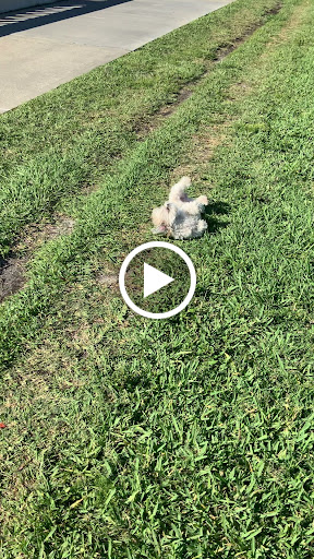 Community Center «Kate Jackson Community Center», reviews and photos, 821 S Rome Ave, Tampa, FL 33606, USA