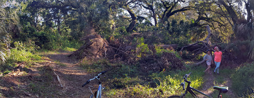 Nature Preserve «Pine Island Ridge Natural Area», reviews and photos, 3900 SW 100th Ave, Davie, FL 33328, USA