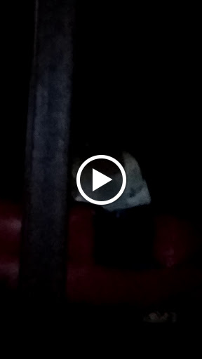 Bar «Outlaws Saloon», reviews and photos, 10572 FM2932, Terrell, TX 75160, USA