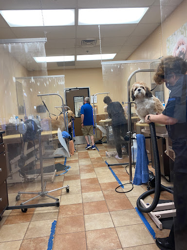 Pet Supply Store «PetSmart», reviews and photos, 215 Needham St, Newton, MA 02464, USA