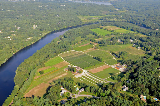 Pumpkin patch Lowell