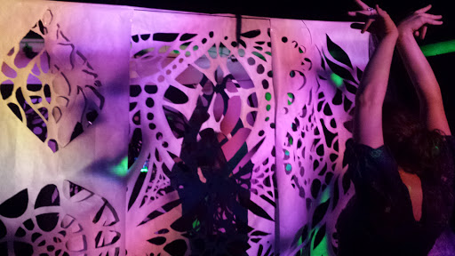 Tea House «Sacred Root Kava Lounge & Tea Bar», reviews and photos, 103 S Geneva St, Ithaca, NY 14850, USA