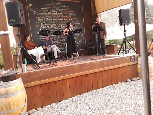 Winery «Aspen Peak Cellars», reviews and photos, 60750 US-285, Bailey, CO 80421, USA