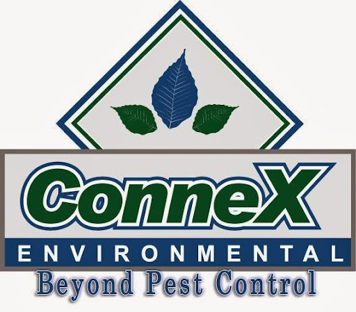 Pest Control Going Beyond