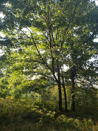 Nature Preserve «Eliason Nature Reserve», reviews and photos, 9501 Shaver Rd, Portage, MI 49024, USA