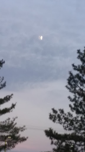 Supermarket «ALDI», reviews and photos, 8124 Ritchie Hwy, Pasadena, MD 21122, USA