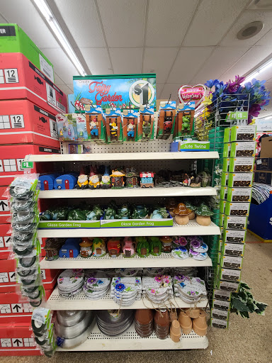 Dollar Store «Dollar Tree», reviews and photos, 21450 Jamaica Ave, Queens Village, NY 11428, USA