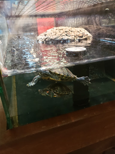 Pet Supply Store «Petco Animal Supplies», reviews and photos, 1401 E Spring Valley Rd, Richardson, TX 75081, USA