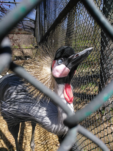 Zoo «Washington Park Zoo», reviews and photos, 115 Lake Shore Dr, Michigan City, IN 46360, USA