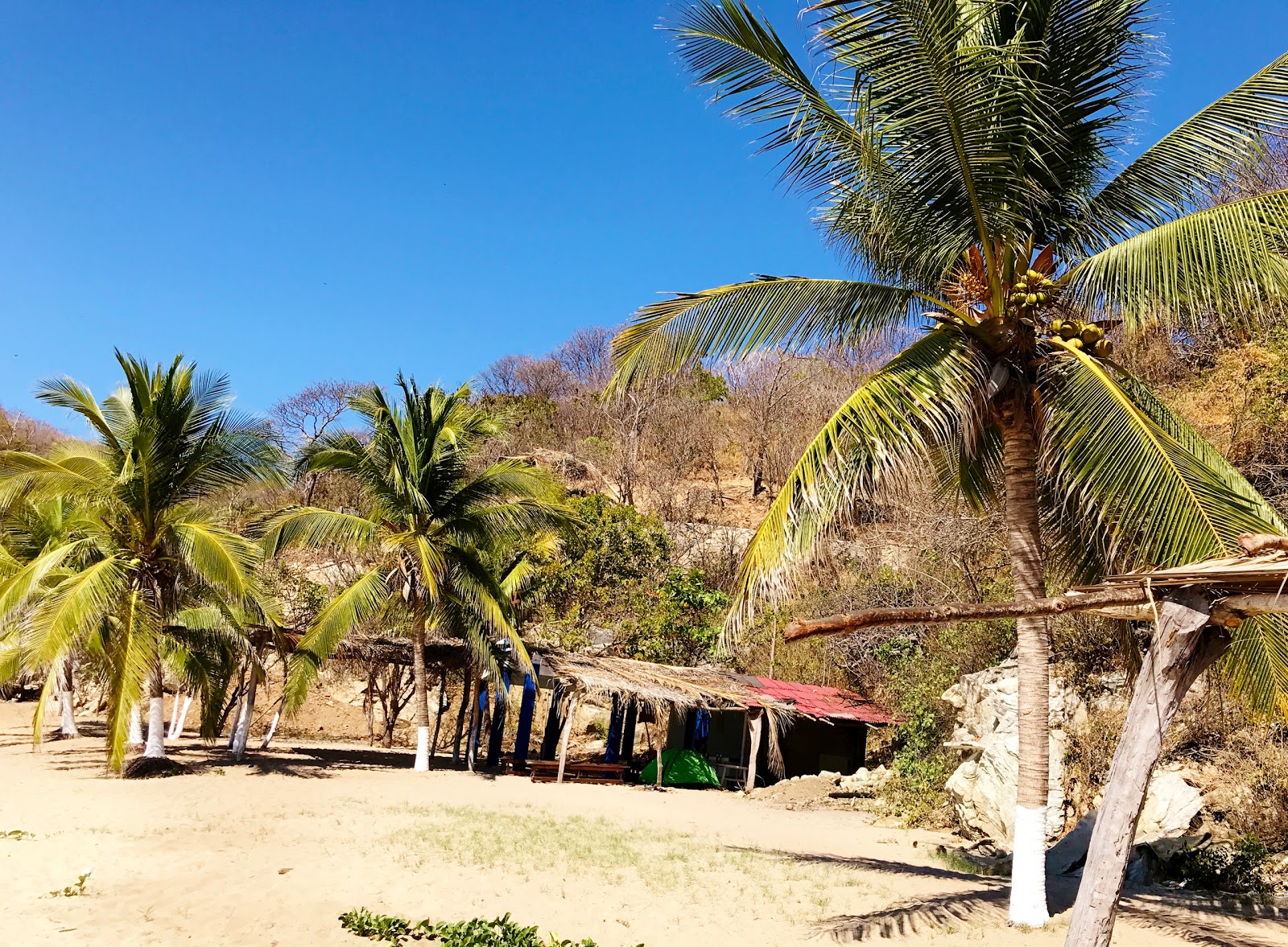 Photo de Tembo beach situé dans une zone naturelle